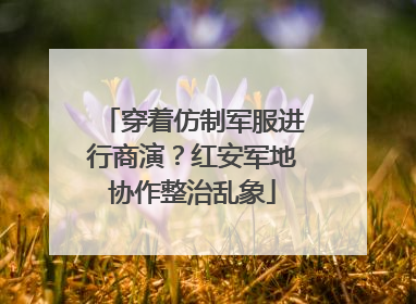 穿着仿制军服进行商演？红安军地协作整治乱象