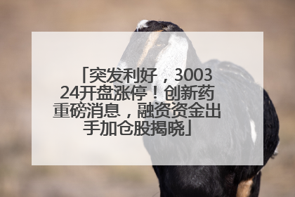 突发利好，300324开盘涨停！创新药重磅消息，融资资金出手加仓股揭晓