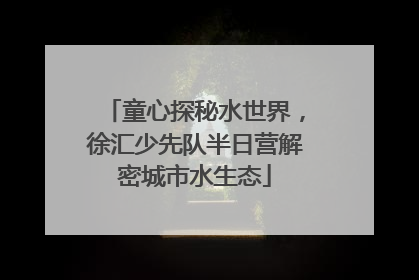 童心探秘水世界，徐汇少先队半日营解密城市水生态