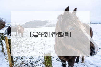 端午到 香包俏