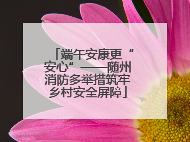 端午安康更“安心”——随州消防多举措筑牢乡村安全屏障