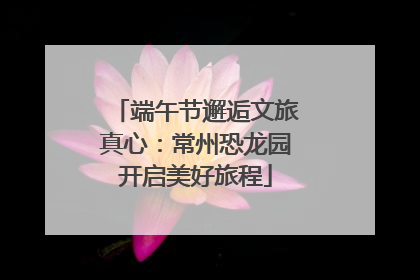 端午节邂逅文旅真心：常州恐龙园开启美好旅程