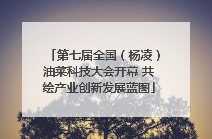 第七届全国（杨凌）油菜科技大会开幕 共绘产业创新发展蓝图