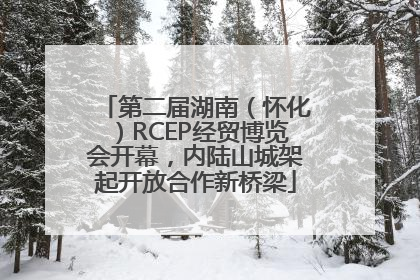 第二届湖南（怀化）RCEP经贸博览会开幕，内陆山城架起开放合作新桥梁