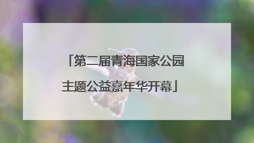 第二届青海国家公园主题公益嘉年华开幕