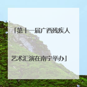 第十一届广西残疾人艺术汇演在南宁举办