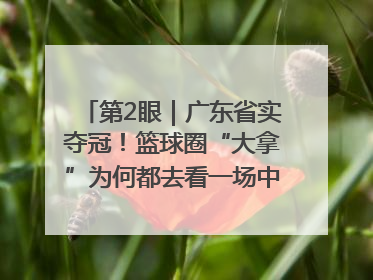 第2眼｜广东省实夺冠！篮球圈“大拿”为何都去看一场中学生比赛？