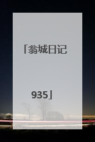 翁城日记 935
