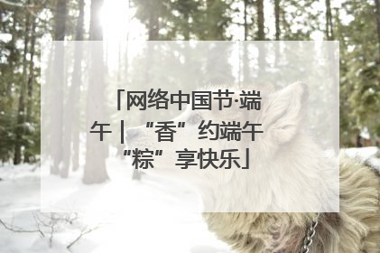 网络中国节·端午｜“香”约端午 “粽”享快乐