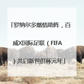 罗纳尔多燃情助阵，百威X国际足联（FIFA）共启新世俱杯元年