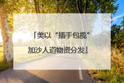 美以“插手包揽”加沙人道物资分发