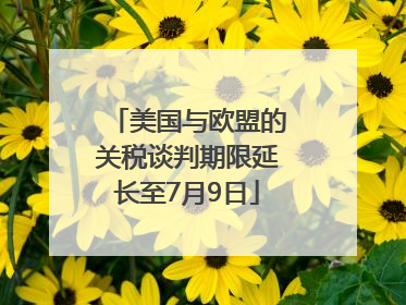美国与欧盟的关税谈判期限延长至7月9日