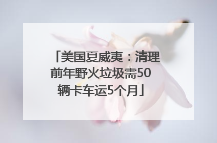 美国夏威夷:清理前年野火垃圾需50辆卡车运5个月