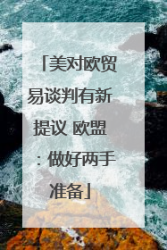 美对欧贸易谈判有新提议 欧盟：做好两手准备
