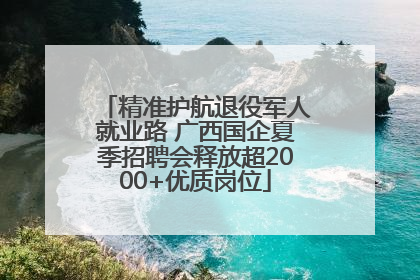 精准护航退役军人就业路 广西国企夏季招聘会释放超2000+优质岗位