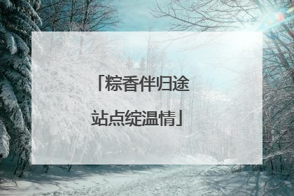 粽香伴归途 站点绽温情