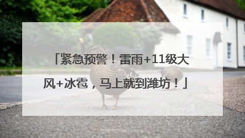 紧急预警！雷雨+11级大风+冰雹，马上就到潍坊！