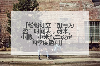 纷纷订立“扭亏为盈”时间表，蔚来、小鹏、小米汽车设定四季度盈利