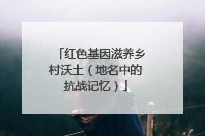 红色基因滋养乡村沃土（地名中的抗战记忆）