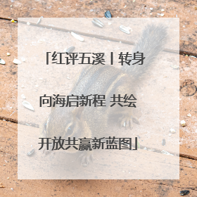 红评五溪丨转身向海启新程 共绘开放共赢新蓝图