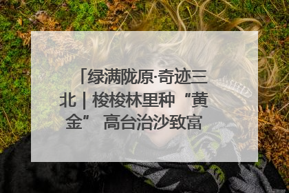 绿满陇原·奇迹三北｜梭梭林里种“黄金” 高台治沙致富很“从容”