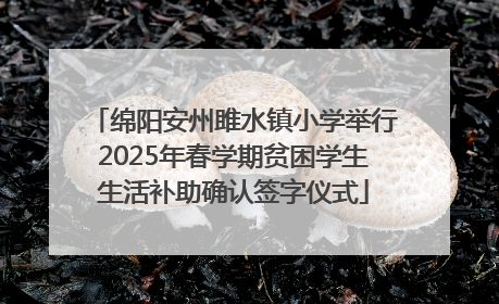 绵阳安州雎水镇小学举行2025年春学期贫困学生生活补助确认签字仪式