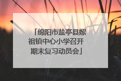 绵阳市盐亭县嫘祖镇中心小学召开期末复习动员会