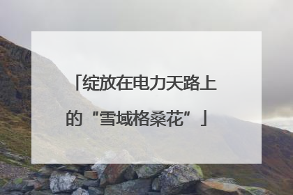 绽放在电力天路上的“雪域格桑花”