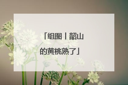 组图丨韶山的黄桃熟了