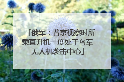 俄军：普京视察时所乘直升机一度处于乌军无人机袭击中心