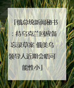 俄总统新闻秘书：待乌克兰回应备忘录草案 俄美乌领导人近期会晤可能性小