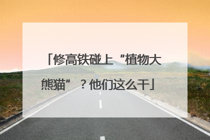 修高铁碰上“植物大熊猫”？他们这么干