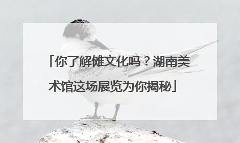 你了解傩文化吗？湖南美术馆这场展览为你揭秘