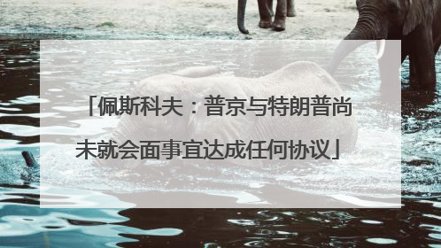 佩斯科夫：普京与特朗普尚未就会面事宜达成任何协议