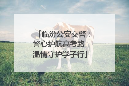 临汾公安交警：警心护航高考路 温情守护学子行