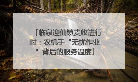 临泉迎仙镇麦收进行时：农机手“无忧作业”背后的服务温度