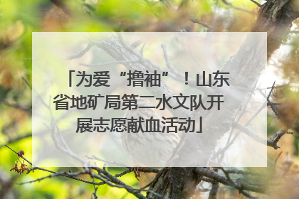 为爱“撸袖”！山东省地矿局第二水文队开展志愿献血活动