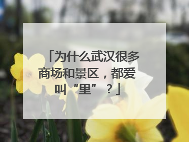为什么武汉很多商场和景区，都爱叫“里”？