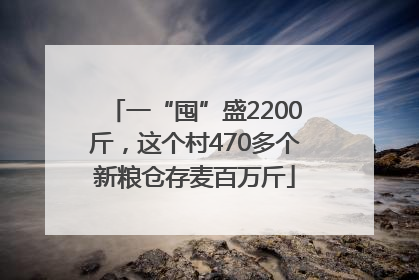 一“囤”盛2200斤，这个村470多个新粮仓存麦百万斤