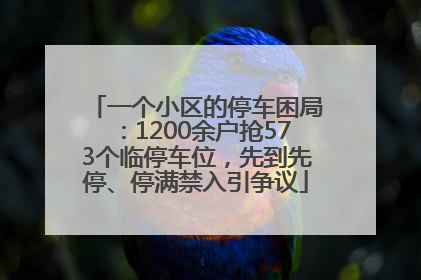 一个小区的停车困局：1200余户抢573个临停车位，先到先停、停满禁入引争议
