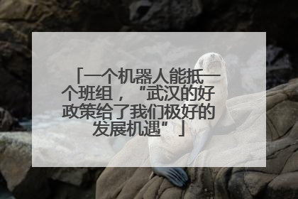 一个机器人能抵一个班组，“武汉的好政策给了我们极好的发展机遇”