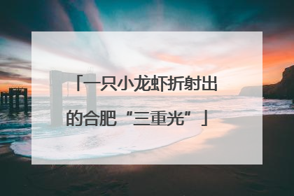一只小龙虾折射出的合肥“三重光”