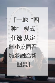 一地“四种” 模式任选 从定制小菜园看城乡融合新图景
