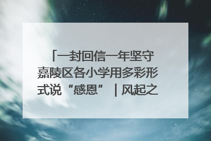 一封回信一年坚守 嘉陵区各小学用多彩形式说“感恩”｜风起之江 扶摇直上