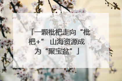 一颗枇杷走向“枇杷+” 山海资源成为“聚宝盆”