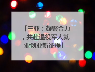 三亚：凝聚合力，共赴退役军人就业创业新征程