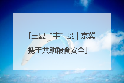 三夏“丰”景｜京冀携手共助粮食安全