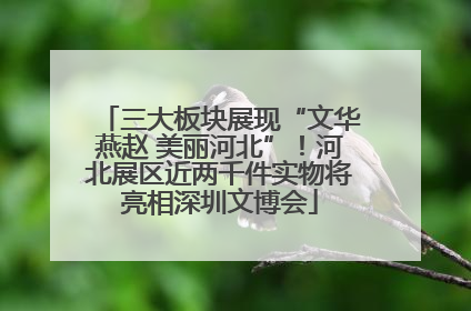 三大板块展现“文华燕赵 美丽河北”！河北展区近两千件实物将亮相深圳文博会