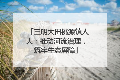 三明大田桃源镇人大：推动河流治理，筑牢生态屏障