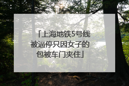 上海地铁5号线被逼停只因女子的包被车门夹住